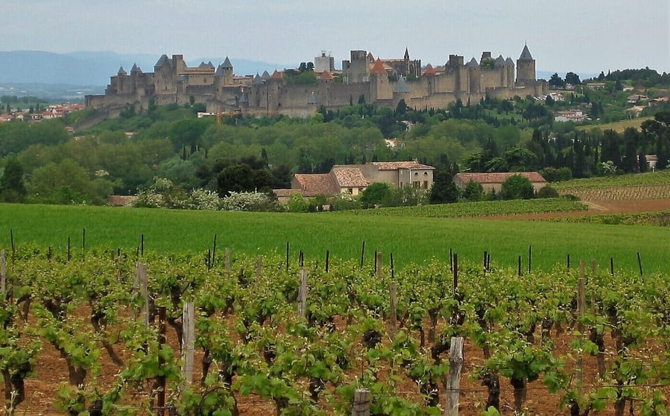 Carcassonne mediaeval city (20km from us)
