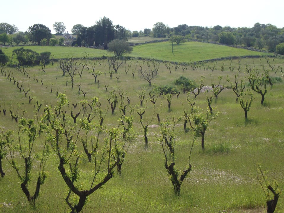 Countryside at Your Doorstep