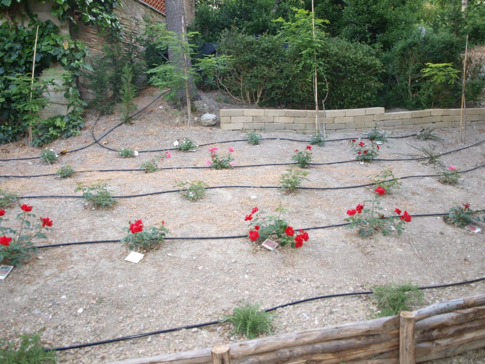 your garden 