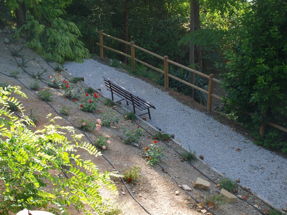 your garden 