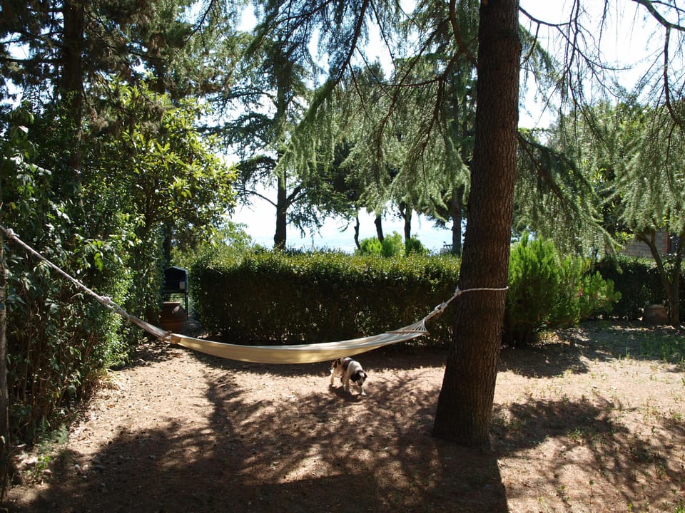 your garden 