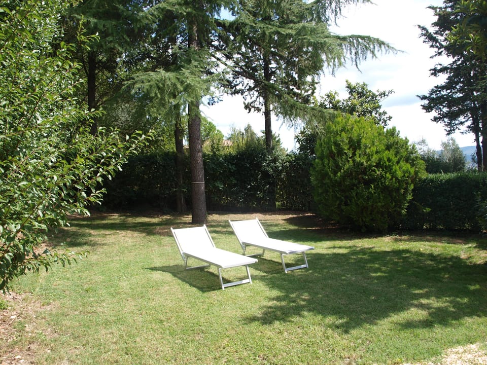 your garden