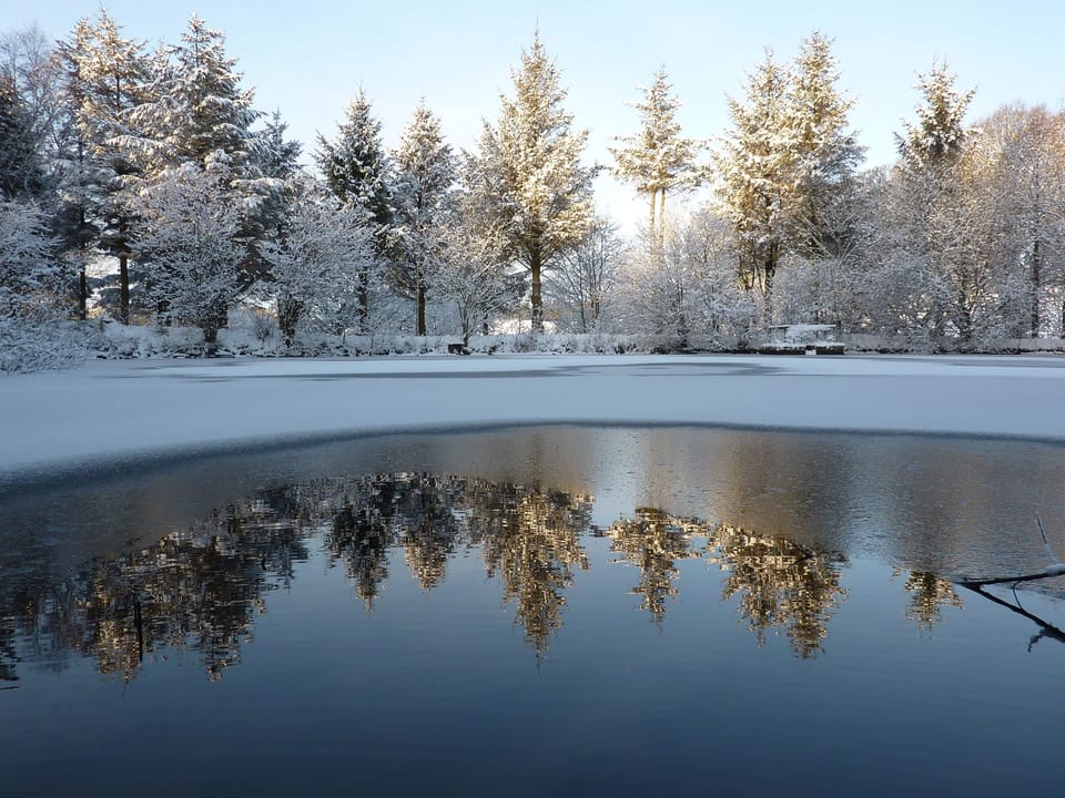 The lake through the seasons.