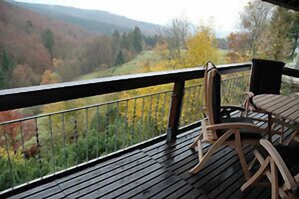 View from the roofed balcony