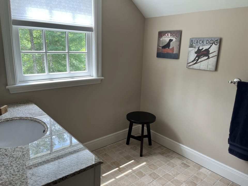 Additional view of 2nd floor primary bath with views of side yard and stream