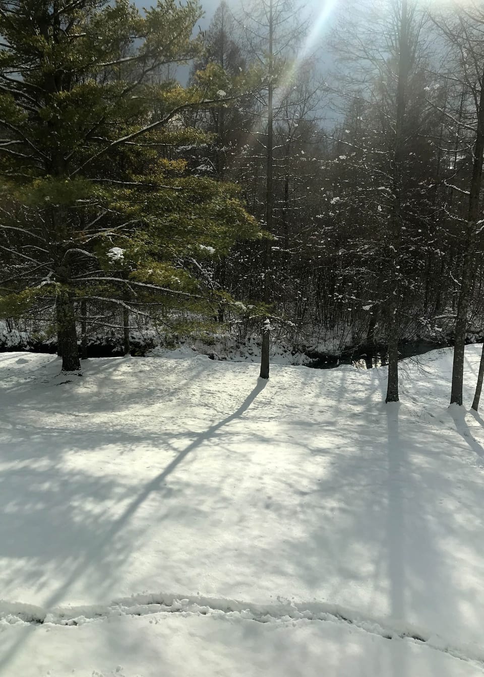 Active creek running alongside the property. 