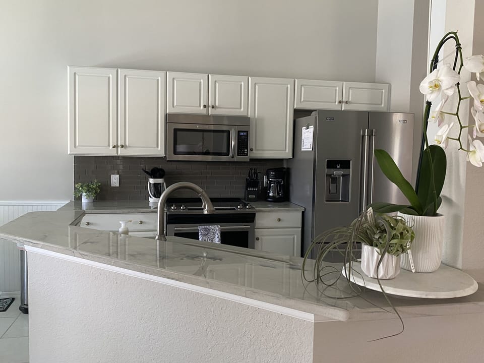 Stainless appliances, quartzite counters
