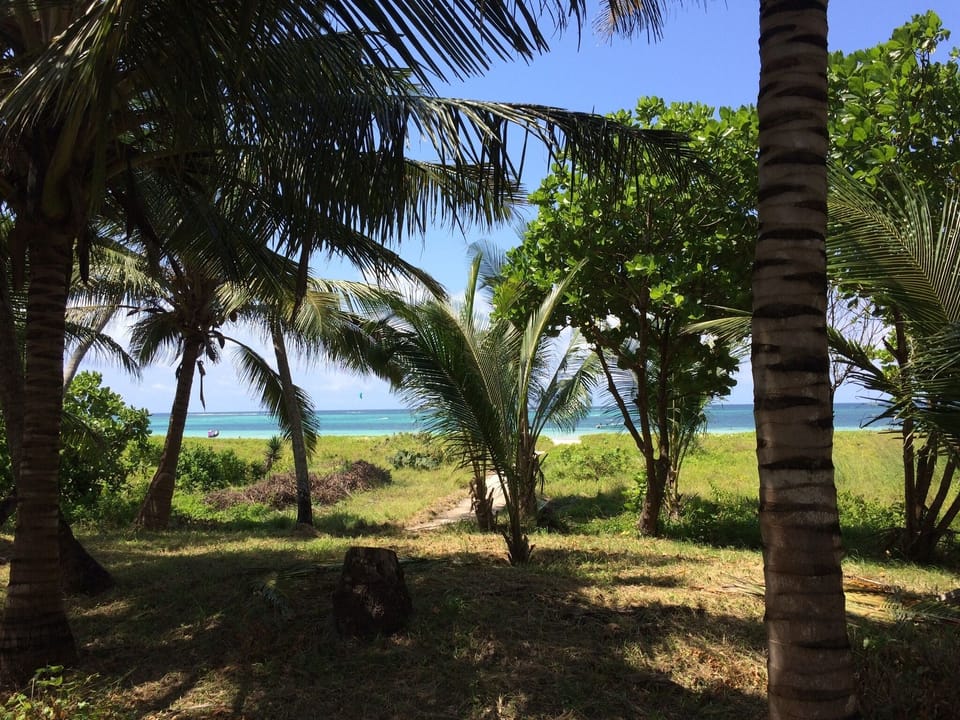 Ocean from the garden.
