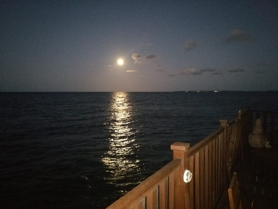 Dine by the moonlight sky!