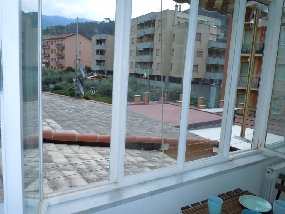 view