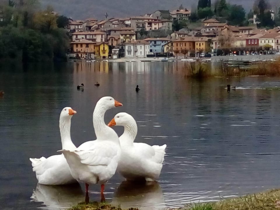 Lake
