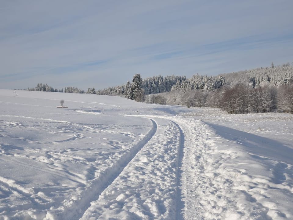 Snow and ski sports