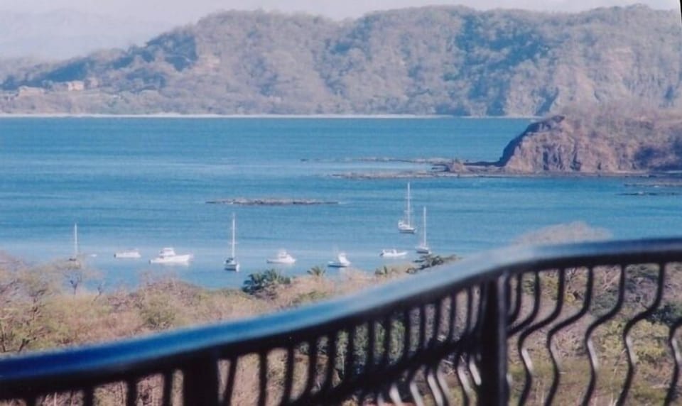 View from the Terrace