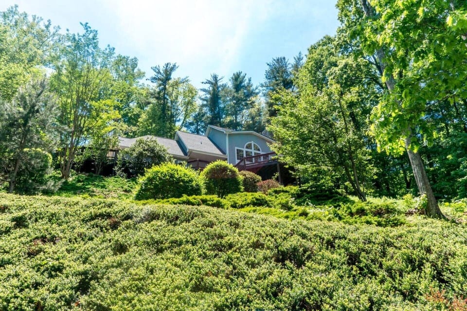 Our Treetop Hideaway from partway up our driveway. 