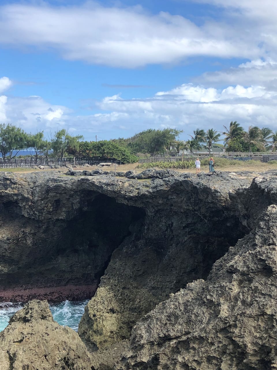 Top of the island, animal flower cave below.
