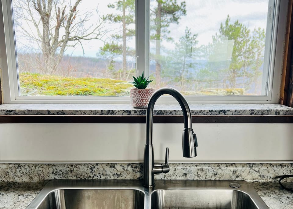Your view from the kitchen sink