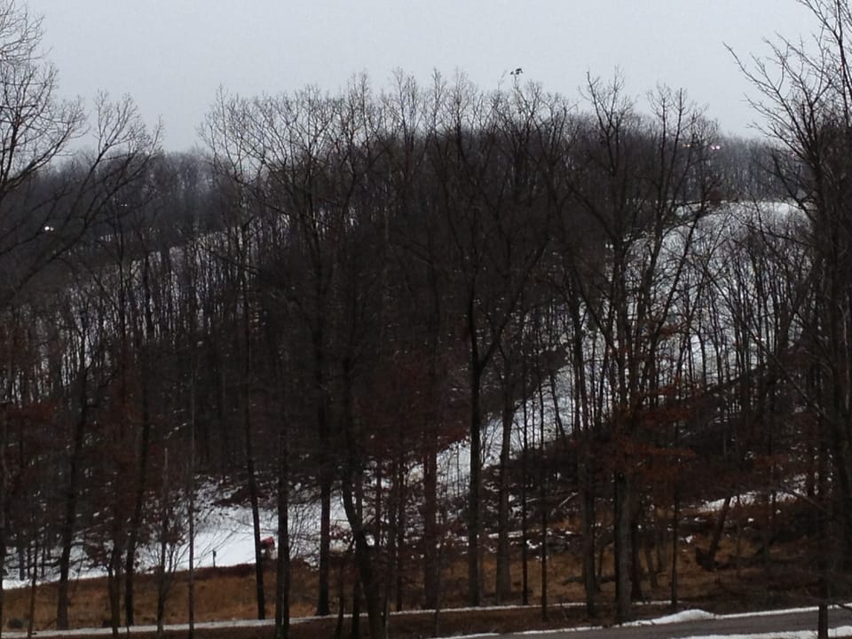 Private ski slopes just minutes away from the house.