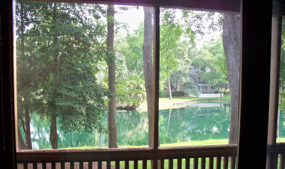 back porch view of lake