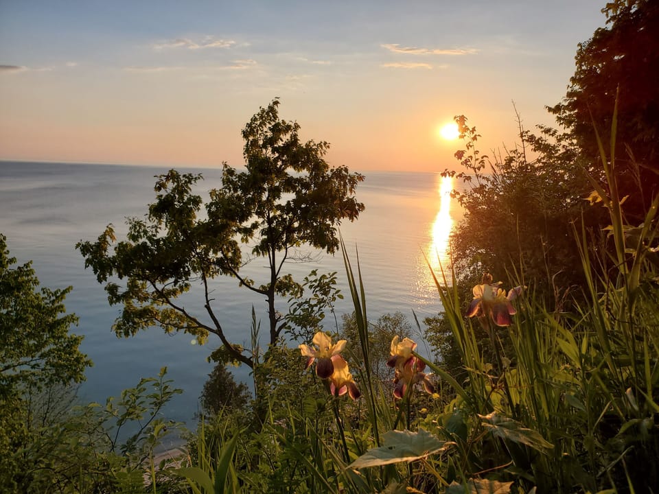 From deck.  June 2021