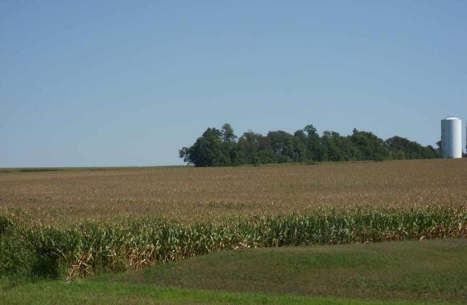 View on the farmlands