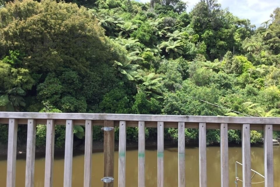 View from deck