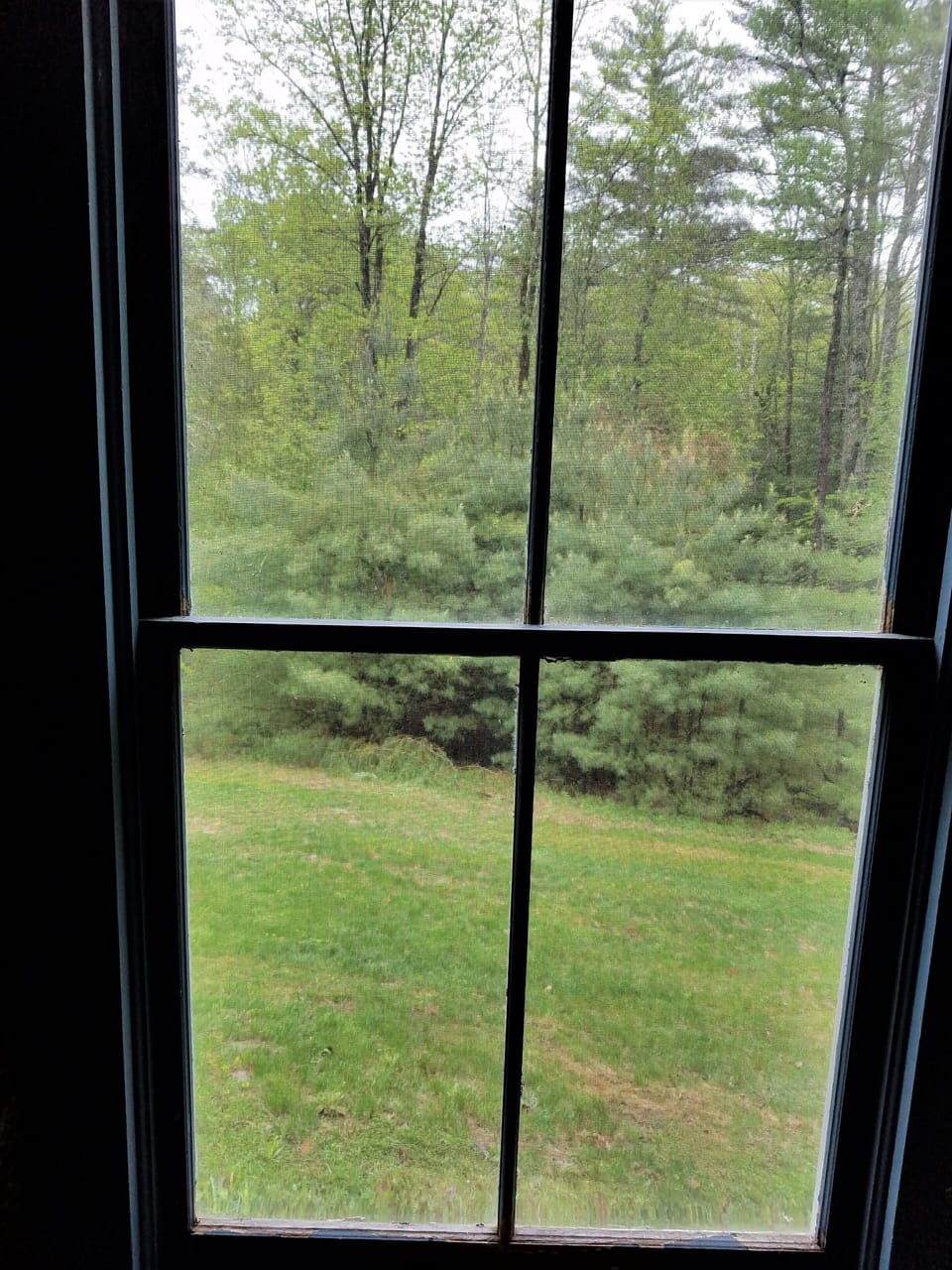 Looking out to the meadow from living room
