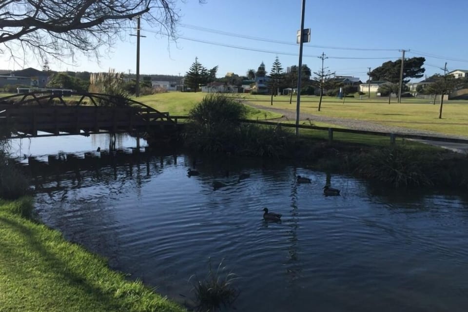 Feed the ducks in reserve