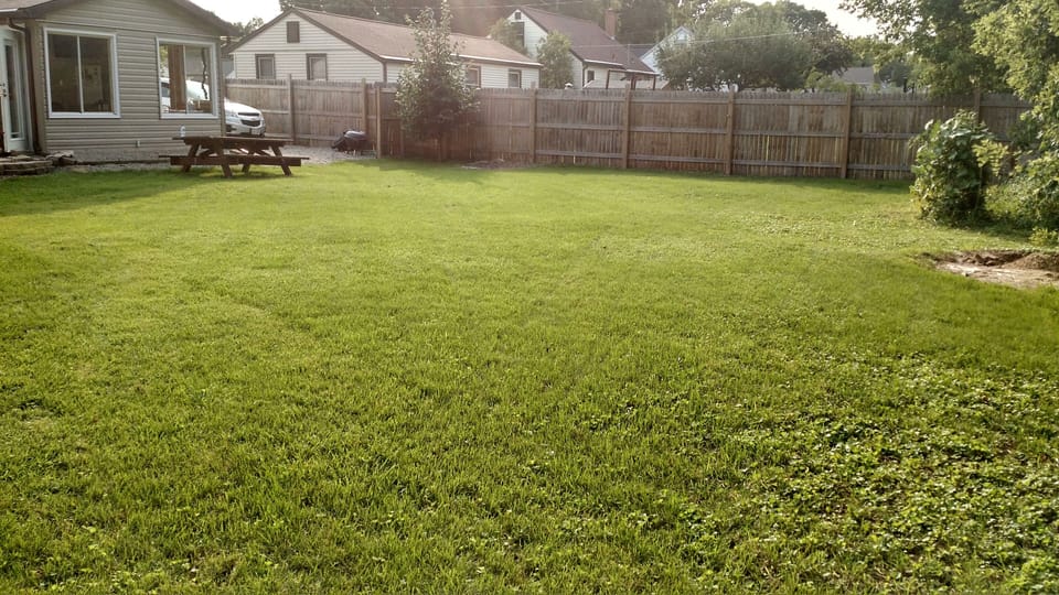 back yard continued.