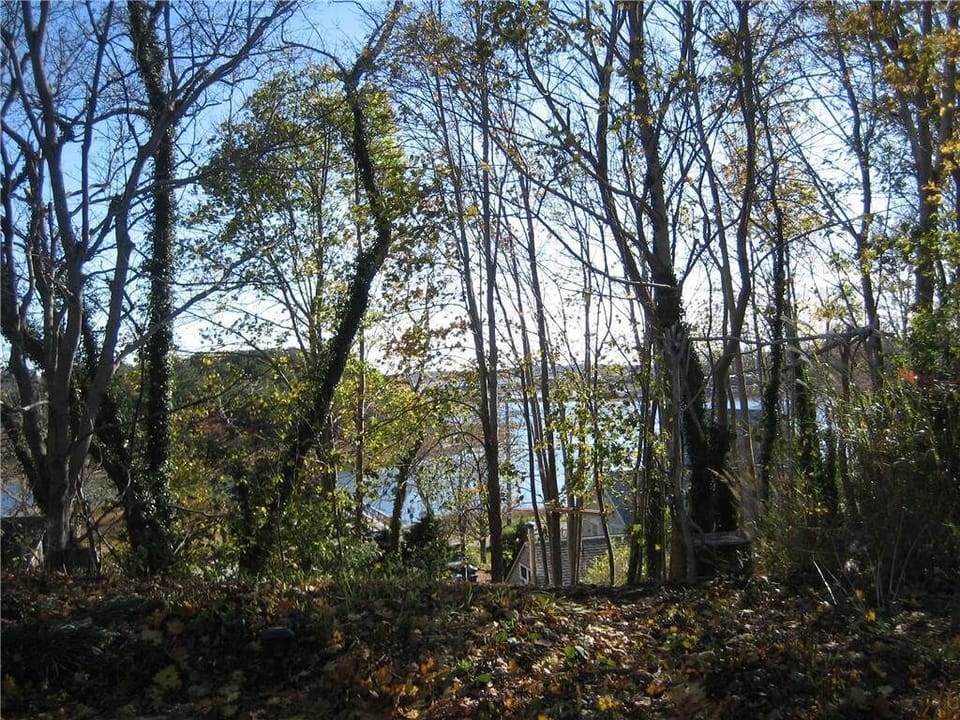 View of Duck Creek from property