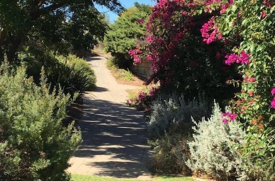 Go to the beach via the secret garden