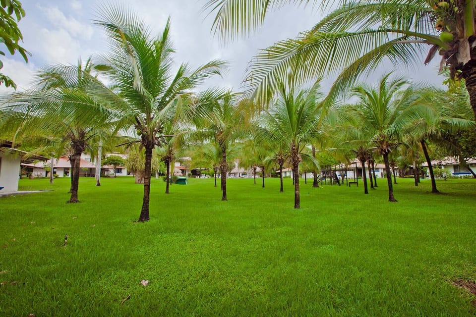 gardens and palm trees!