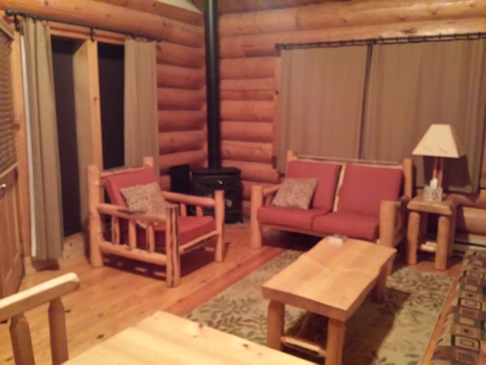 Living Area downstairs