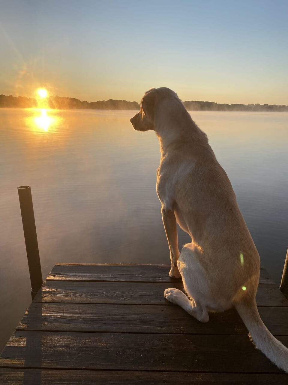 Sunrise off the dock.
