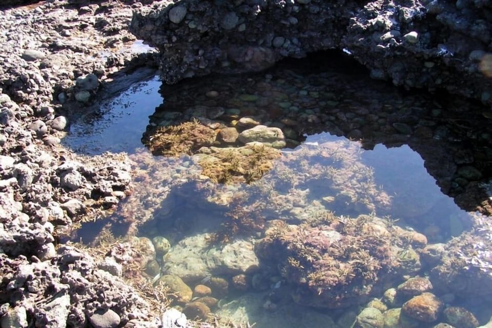 rockpools