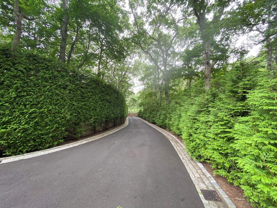 Privacy hedging away from neighbors and street. Newly paved driveway