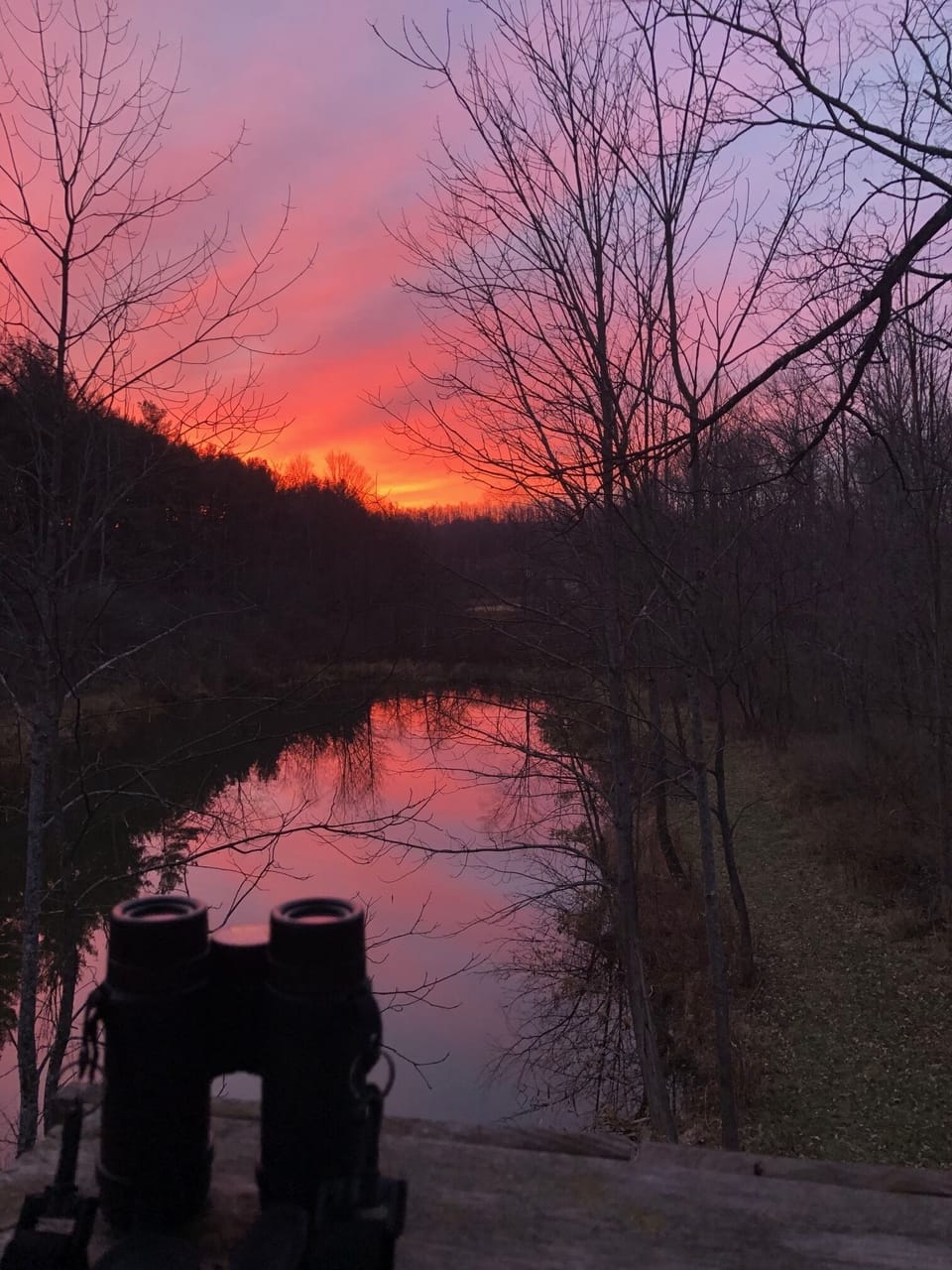 view of the pond in the evening; from the  "pond stand"