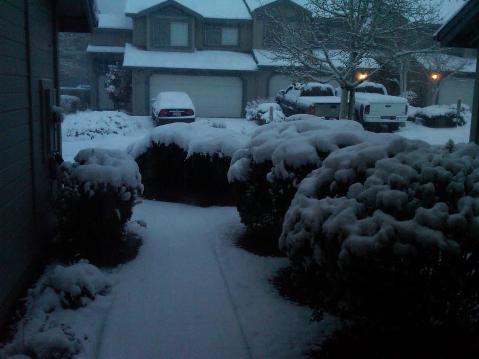 (winter) view from the front door