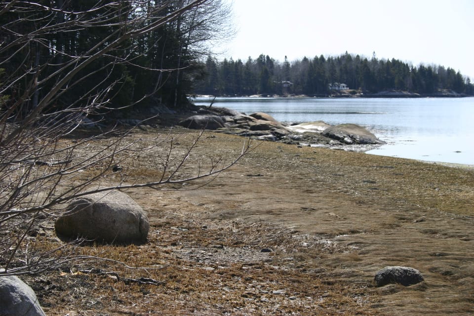 Shore