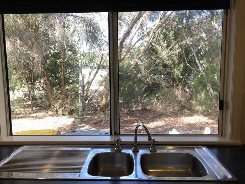 Bushy outlook from kitchen