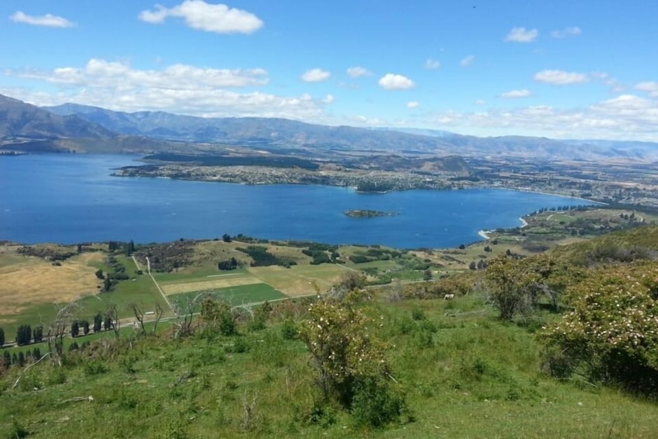 Wanaka from Mt Roy