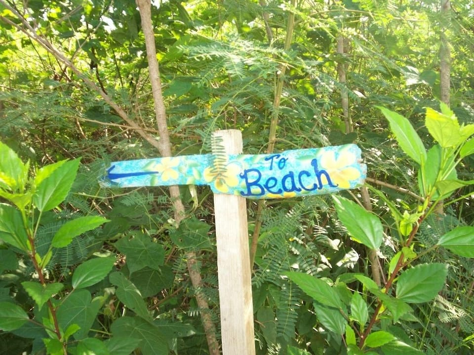 path to beach: a wooded wooded path leads you to our own private beach