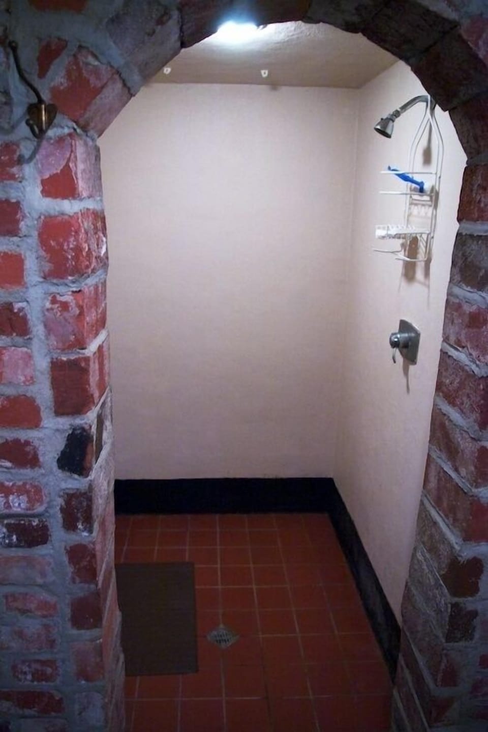 Walk-in shower