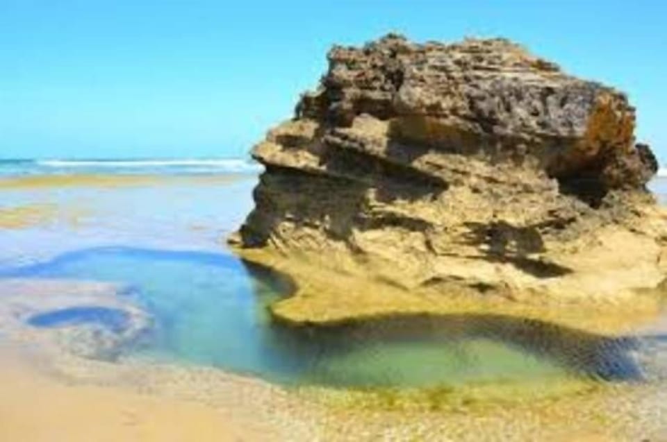 The rock pools are a short walk over the dunes and great for kids