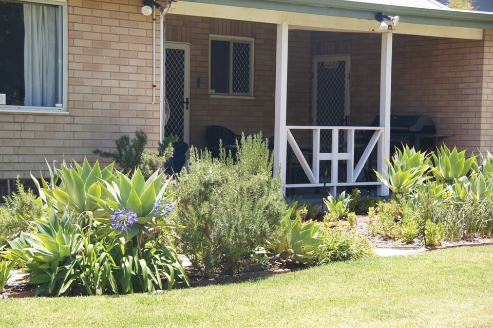 Rear Cottage garden.. 