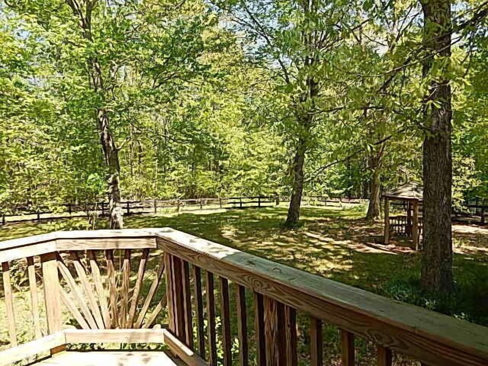 Rear fenced yard