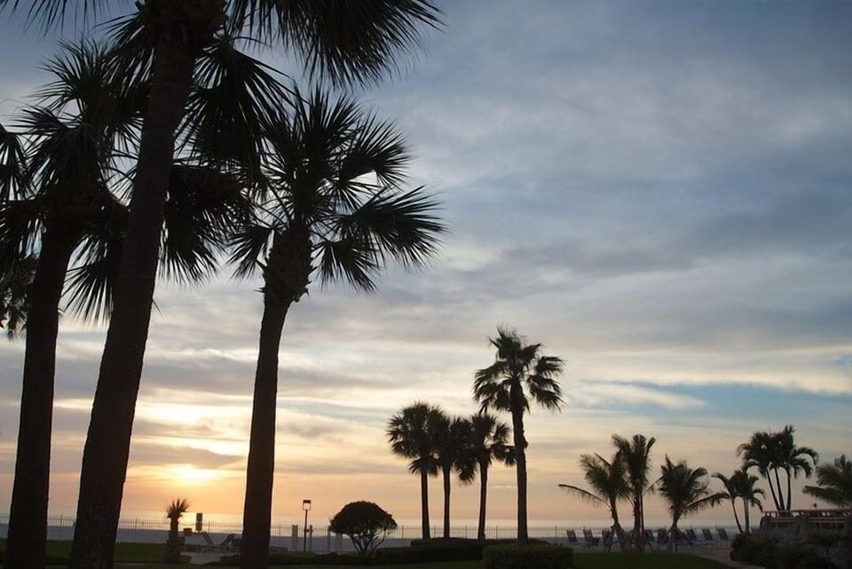 View of condo grounds.
