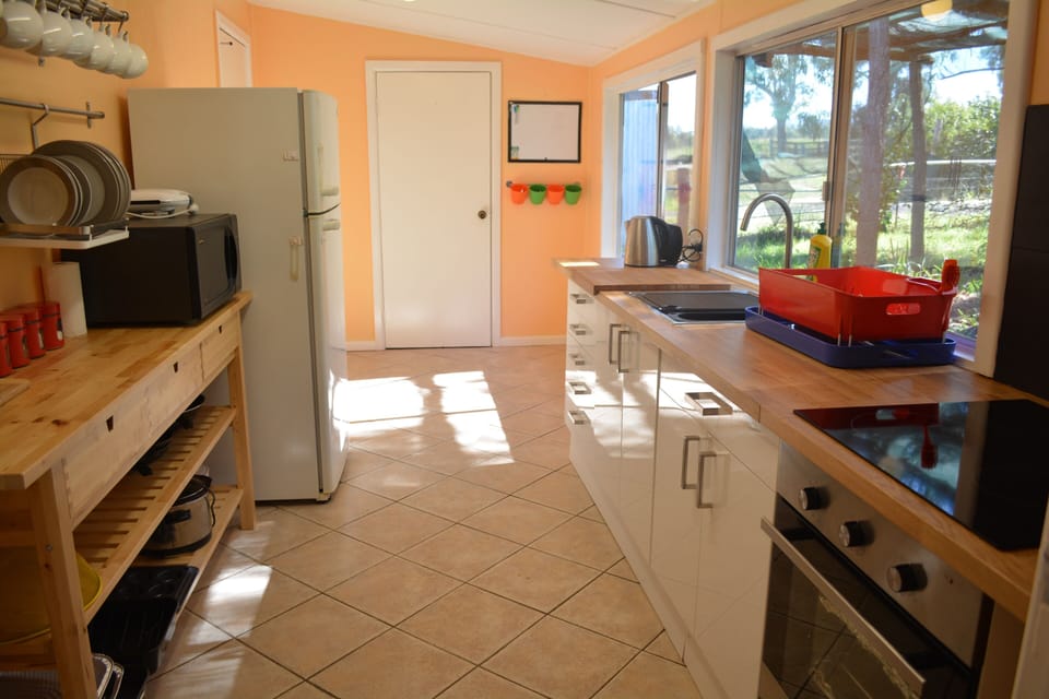 Kitchen: full sized and well equipped