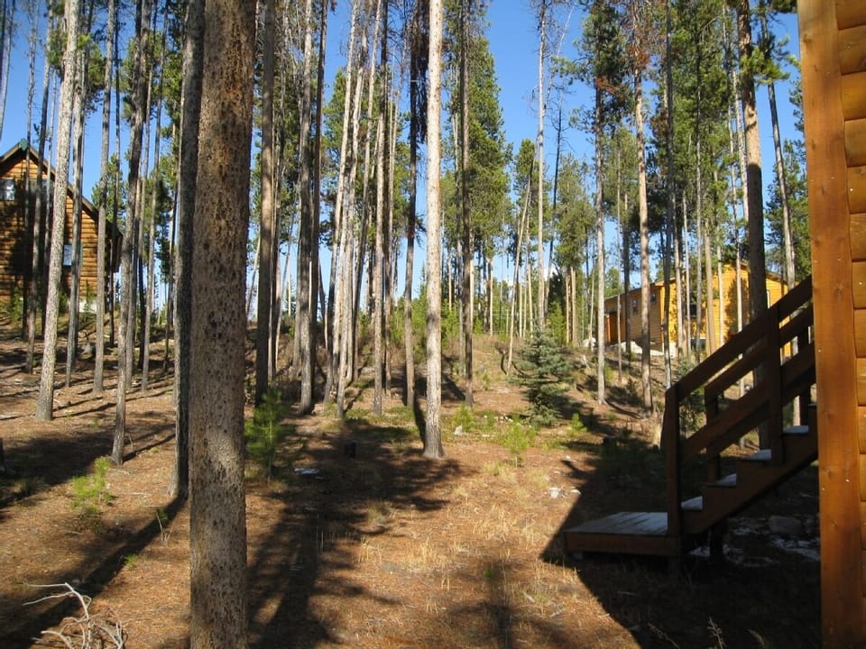 Backyard of Moose Hus