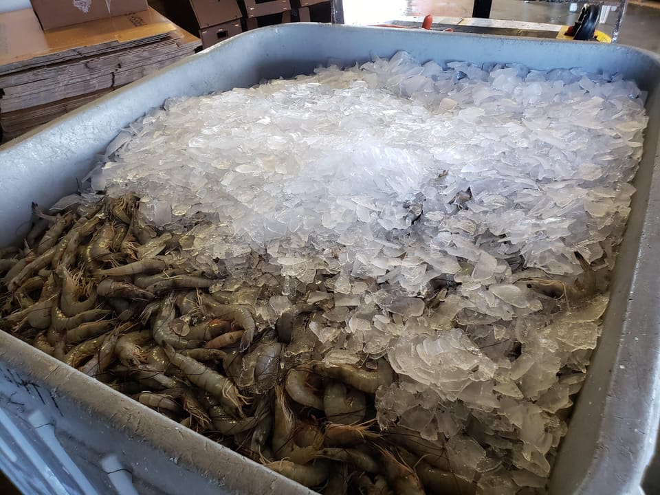 Local Shrimp