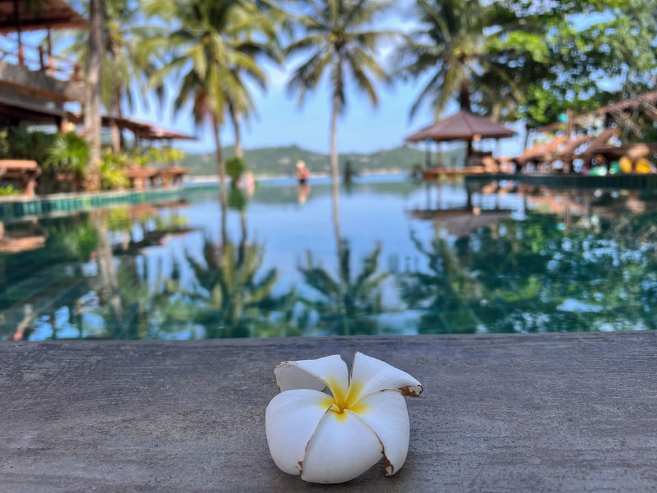 Shared pool with Longtail Resort Guests